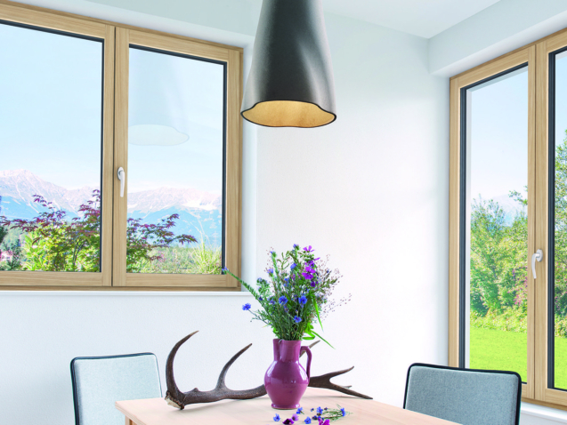 fenetre-bois-internorm